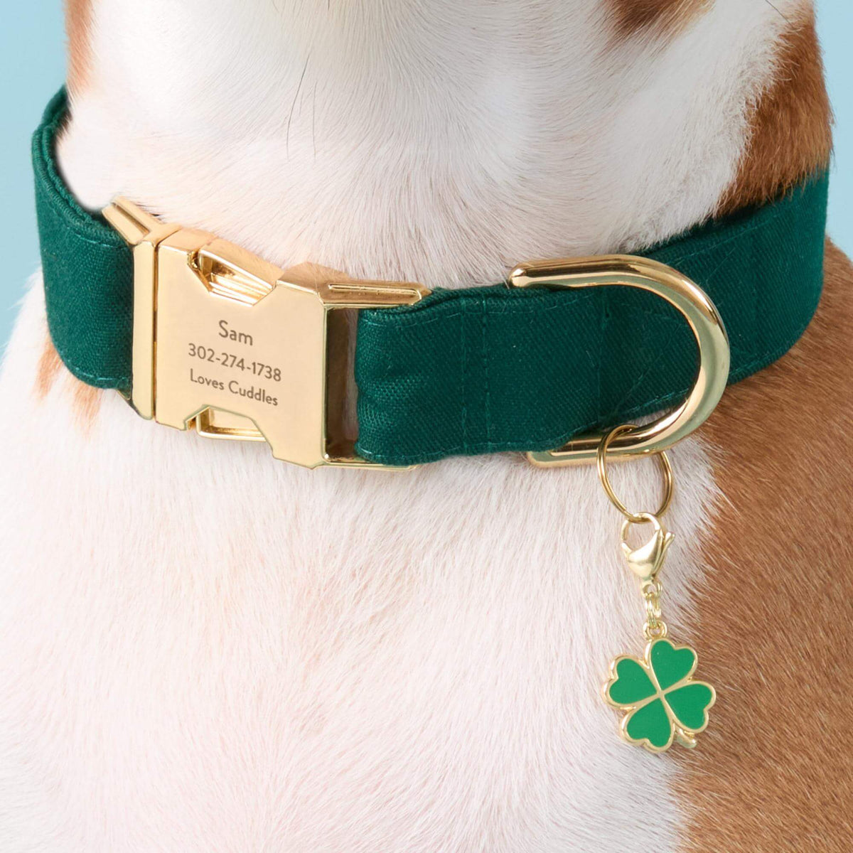 Lucky Clover Collar Charm from The Foggy Dog