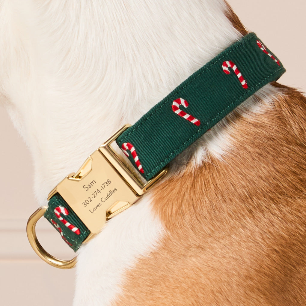 #Modeled by Sadie (27lbs) in Medium