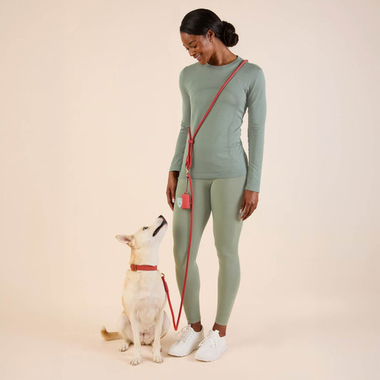 Active Everyday Collar Walk Set, Ember view 2