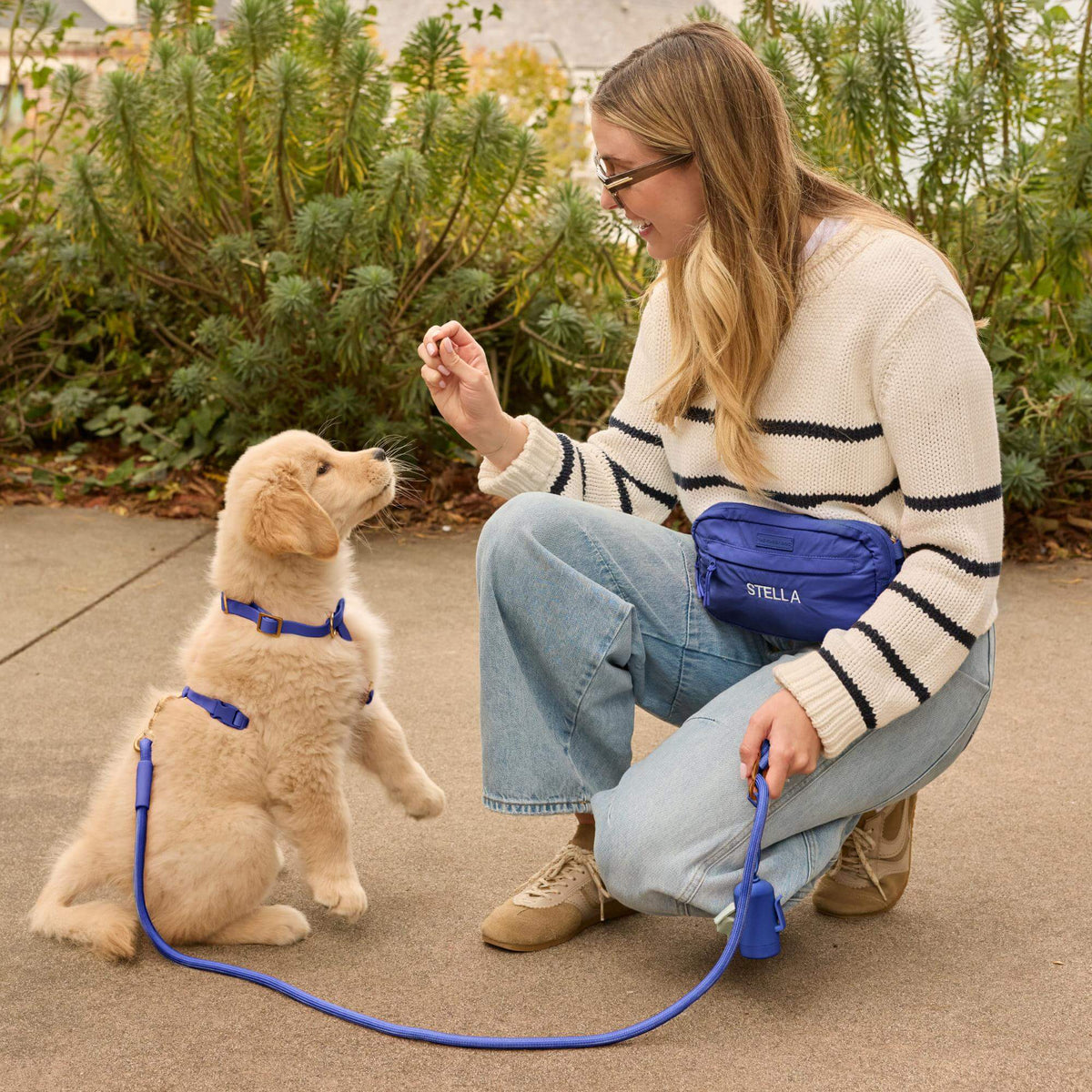 #Waverly (15lbs) in a Small harness and Standard leash