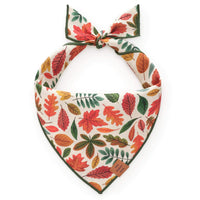 Falling Leaves Dog Bandana from The Foggy Dog