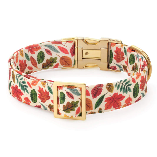 Falling Leaves Dog Collar view 2