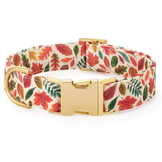 Falling Leaves Dog Collar view 1