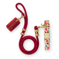 Falling Leaves Collar Walk Set from The Foggy Dog