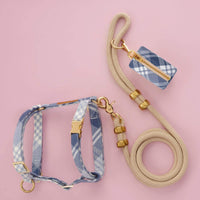 Hawthorne Plaid Flannel Harness Walk Set from The Foggy Dog