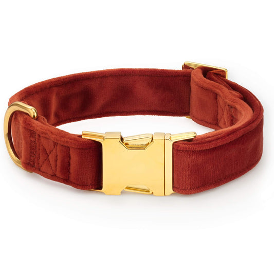 Nutmeg Velvet Dog Collar view 1