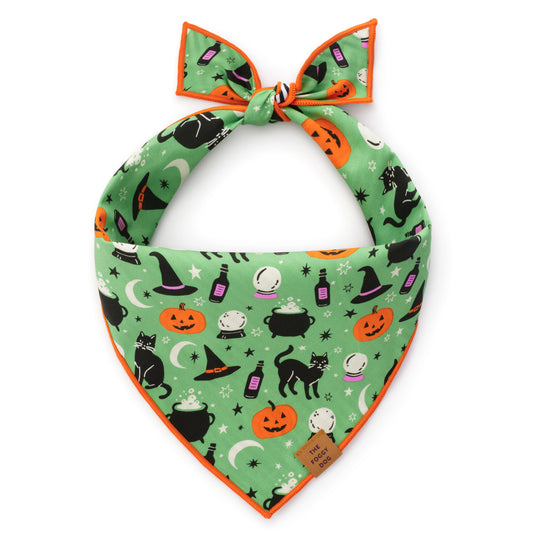 Spellbound Reversible Dog Bandana view 2