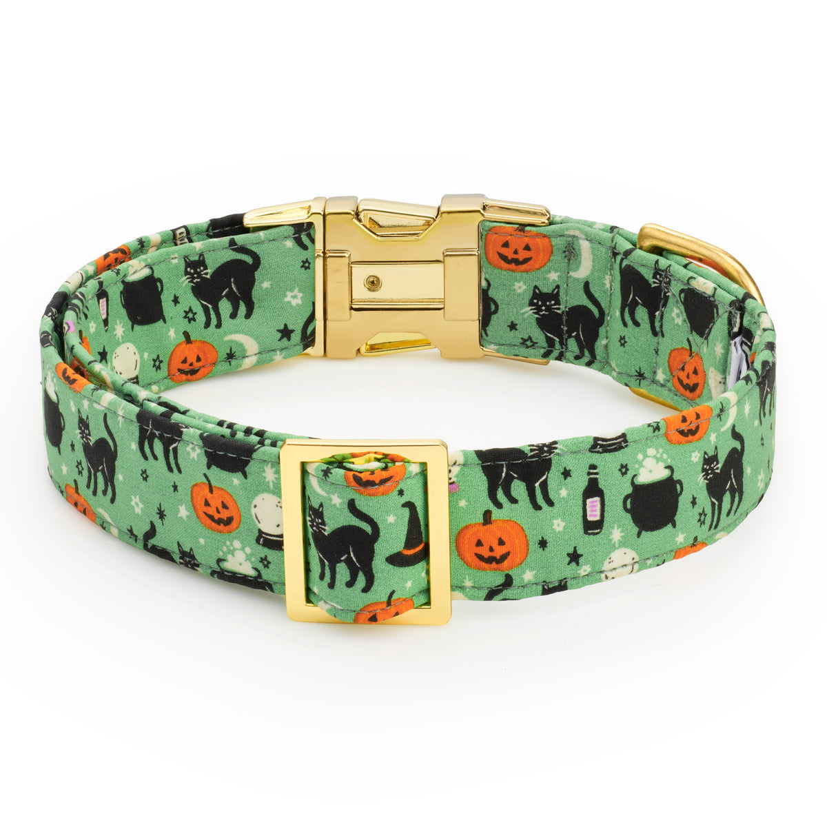 Spellbound Dog Collar from The Foggy Dog
