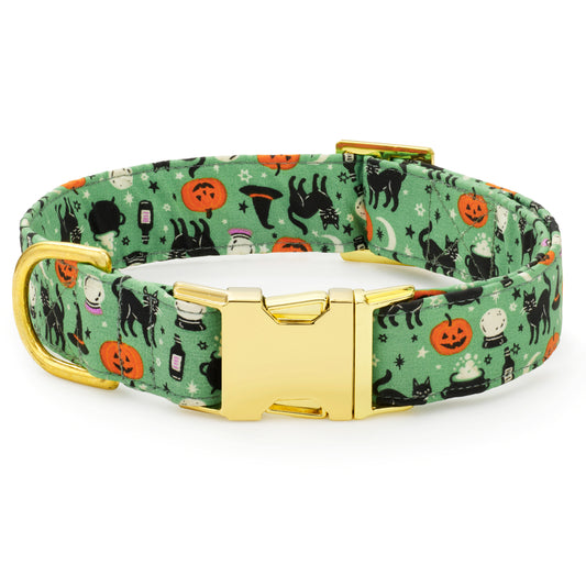 Spellbound Dog Collar view 1