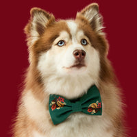 #Modeled by Rouka (35lbs) in a Large bow tie