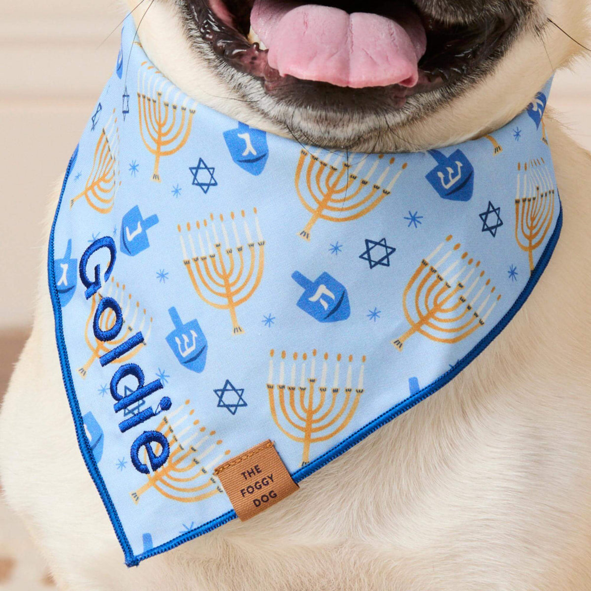 #Modeled by Greg (23lbs) in Medium