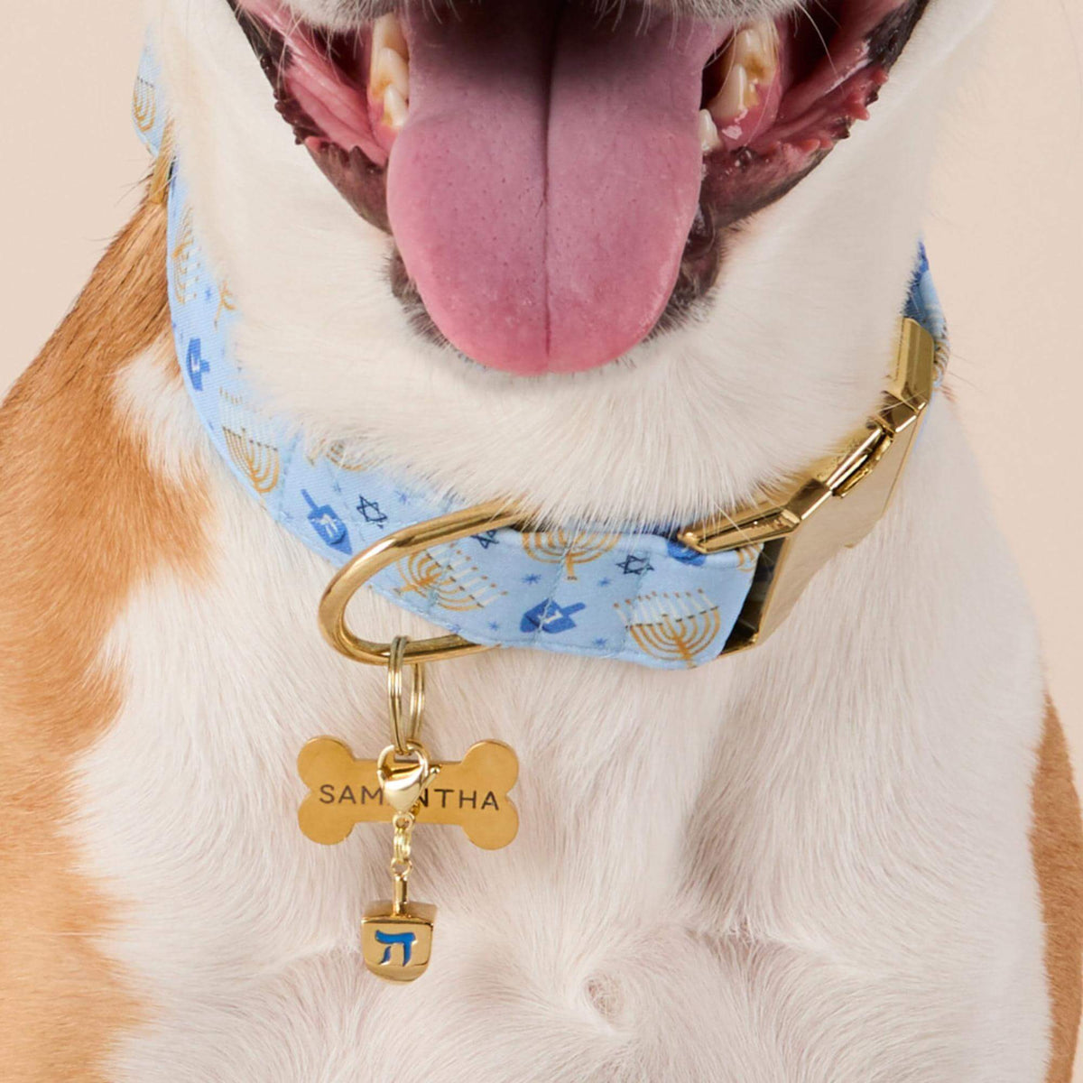 #Modeled by Sadie (27lbs) in Medium