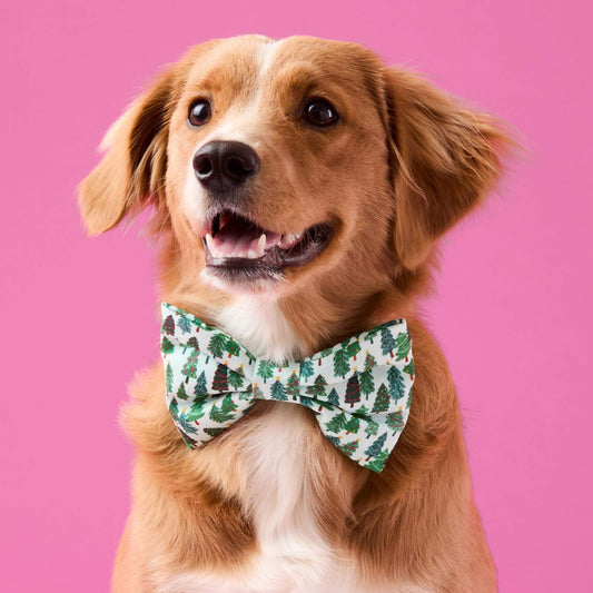 Festive Firs Bow Tie Collar view 2