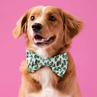 #Modeled by Noe (27lbs) in a Large bow tie