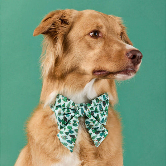 Festive Firs Lady Dog Bow view 2