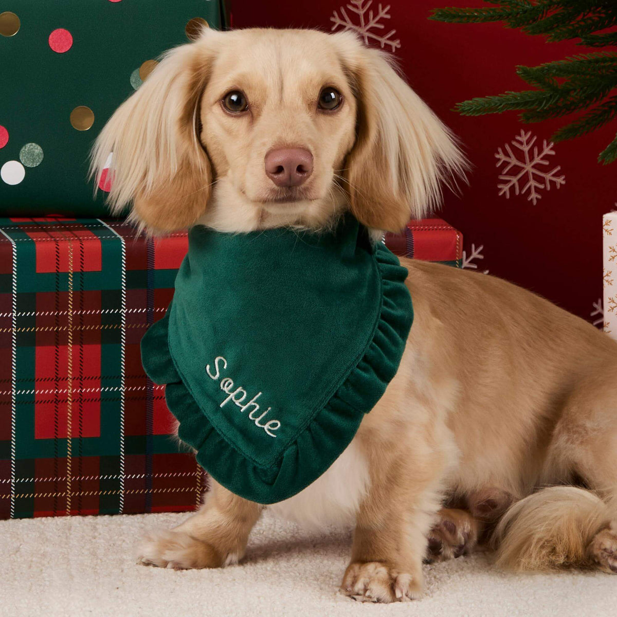 #Modeled by Finley (12lbs) in Medium