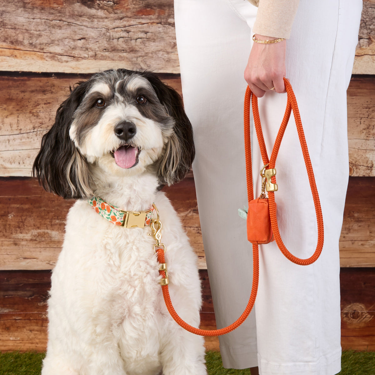 #Modeled by Reese (30lbs) in a Medium collar and Standard leash