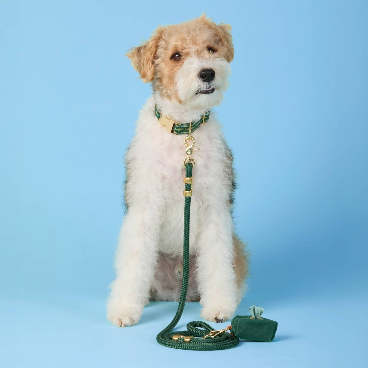 Evergreen Marine Rope Dog Leash (Standard/Petite) and Evergreen Waste Bag from The Foggy Dog 