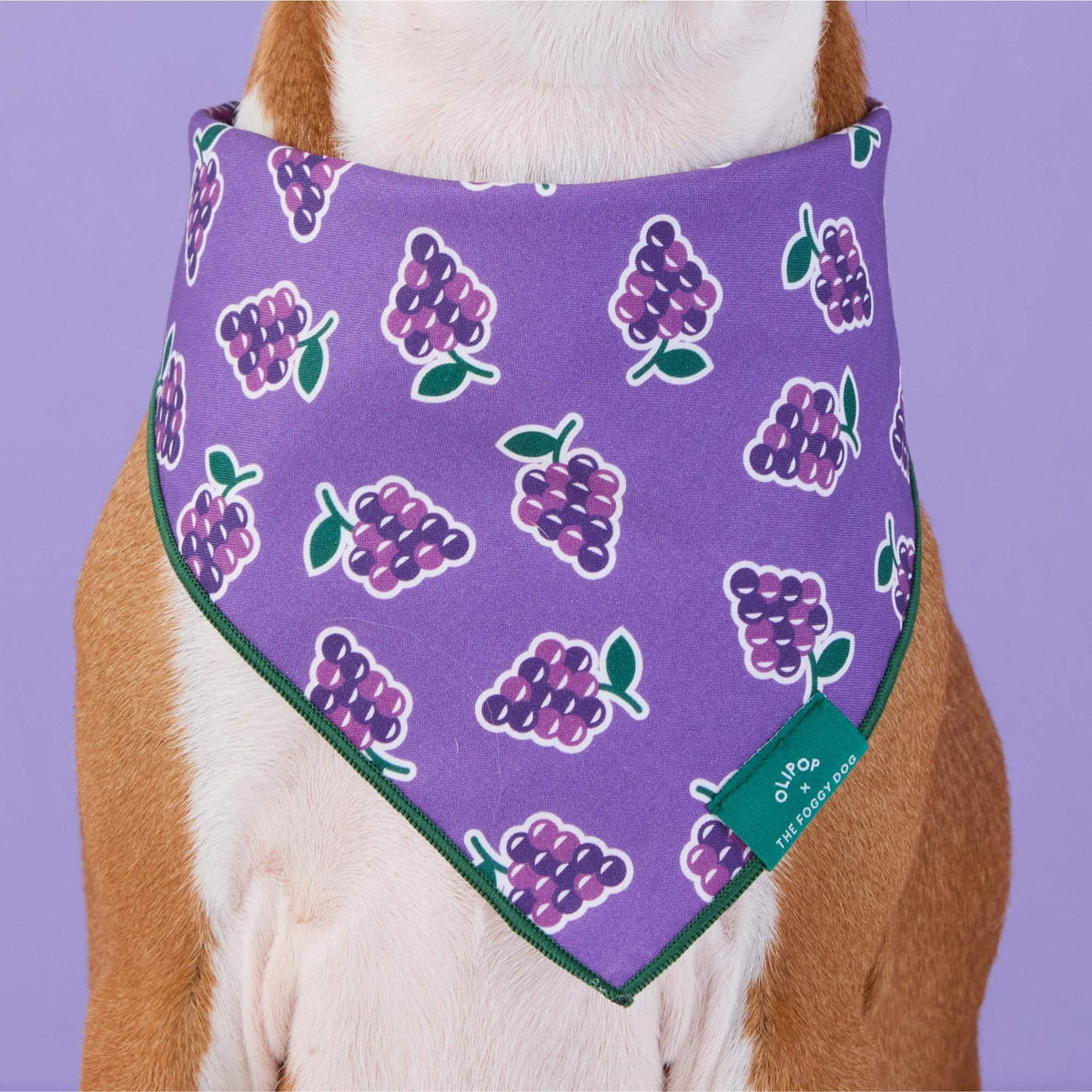 #Modeled by Ricky (26lbs) in Medium