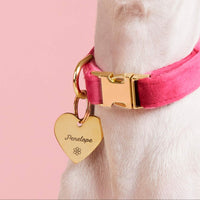 #Modeled by Daisy (10lbs) in a Large pet ID tag