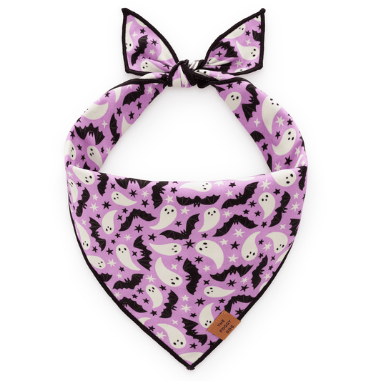 Spooky Season Reversible Dog Bandana view 2