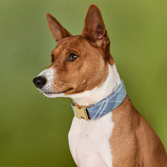 Hawthorne Plaid Flannel Dog Collar view 2