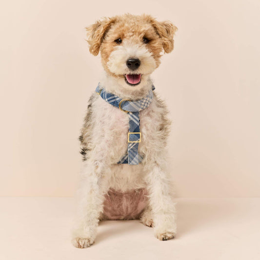 Hawthorne Plaid Flannel Dog Harness view 2