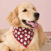 #Modeled by Peanut (40lbs) in Medium
