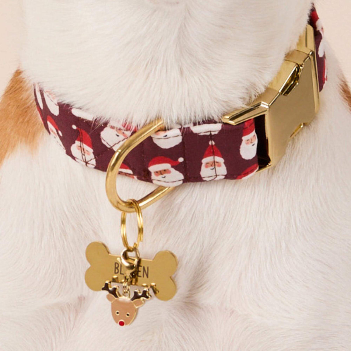 #Modeled by Sadie (27lbs) in Medium