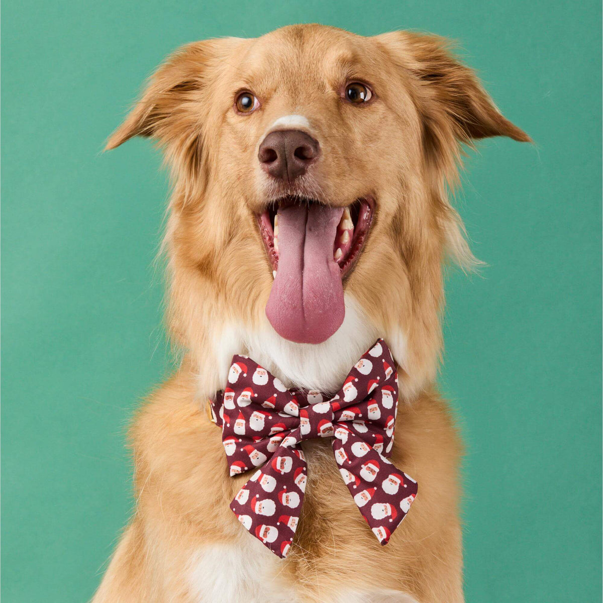 #Modeled by Kina (60lbs) in a Large lady bow