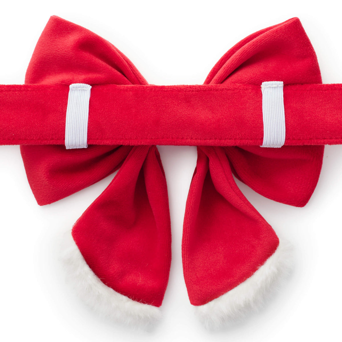 Santa Paws Lady Bow Collar from The Foggy Dog