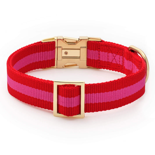 Charlotte Striped Webbing Dog Collar view 2