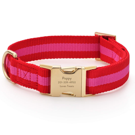 Charlotte Striped Webbing Dog Collar view 1