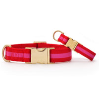 Charlotte Striped Webbing Dog Collar from The Foggy Dog