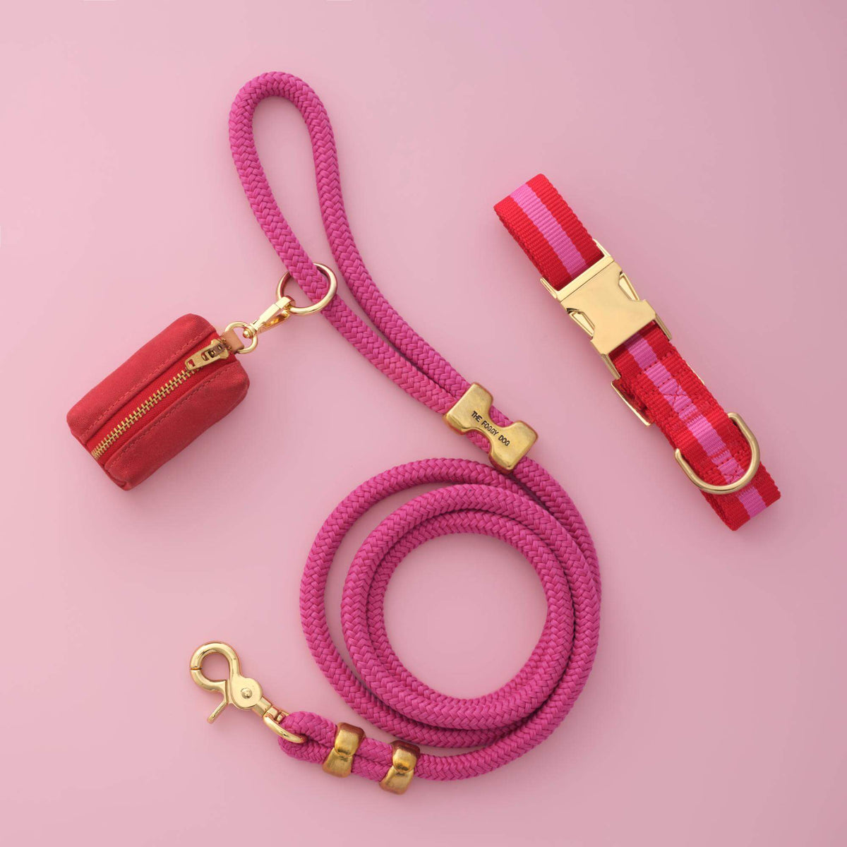 Charlotte Striped Webbing Collar Walk Set from The Foggy Dog