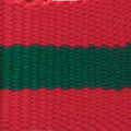 Noel Striped Webbing Collar Walk Set