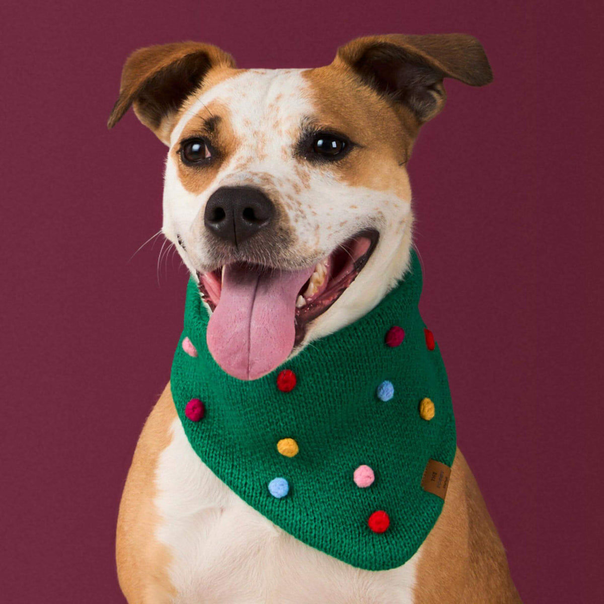 #Modeled by Sadie (27lbs) in Medium