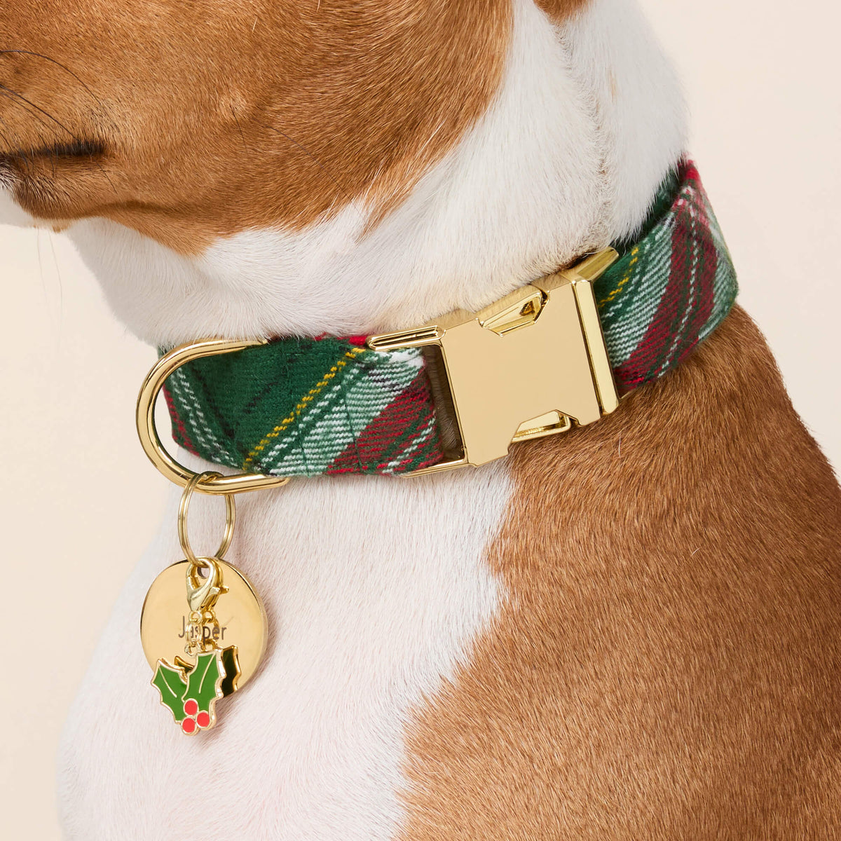 #Modeled by Ricky (30lbs) in Medium