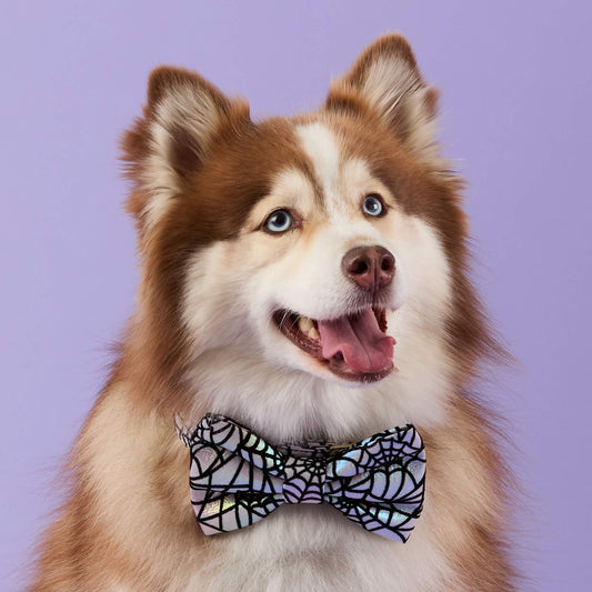Holographic Spiderweb Dog Bow Tie view 2