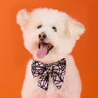 #Modeled by Mochi (14lbs) in a Large lady bow