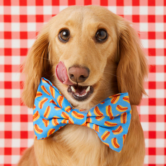 Hot Diggity Bow Tie Collar view 2