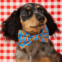 #Modeled by Frank (13lbs) in a Large bow tie