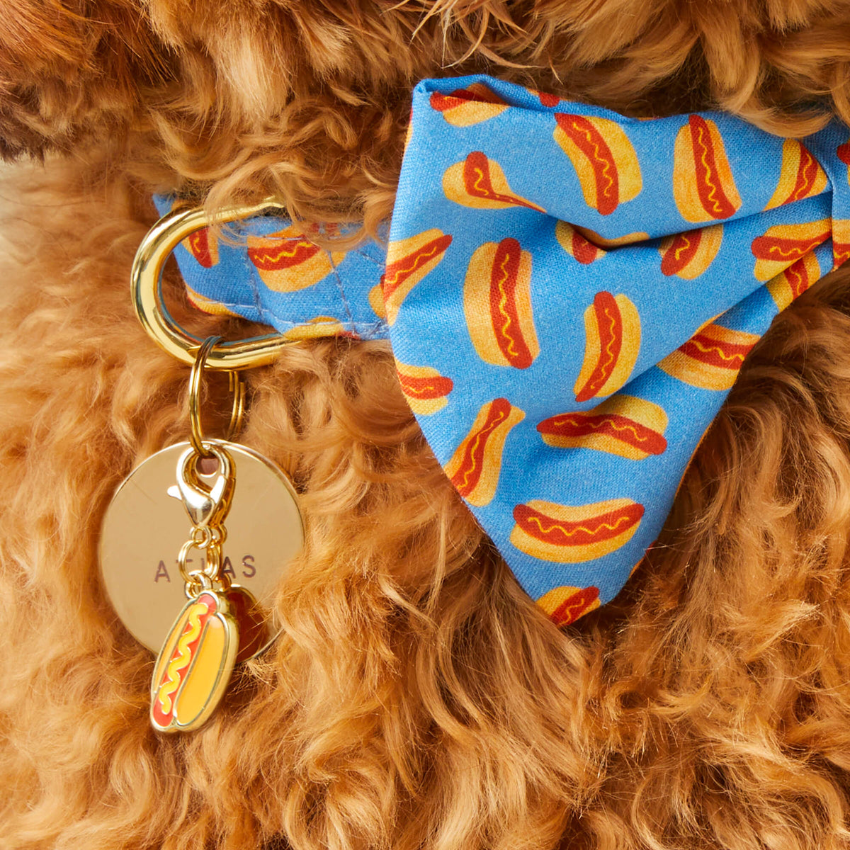 Hot Dog Collar Charm from The Foggy Dog