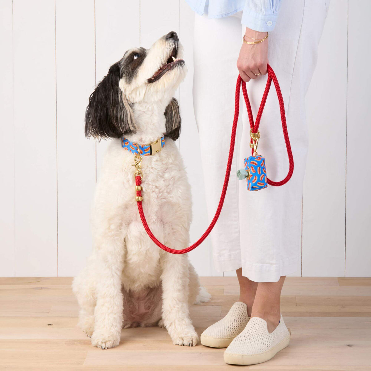 #Modeled by Reese (45lbs) in a Medium collar and Standard leash