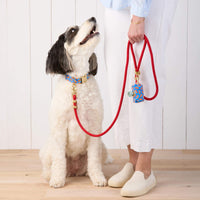 #Modeled by Reese (45lbs) in a Medium collar and Standard leash