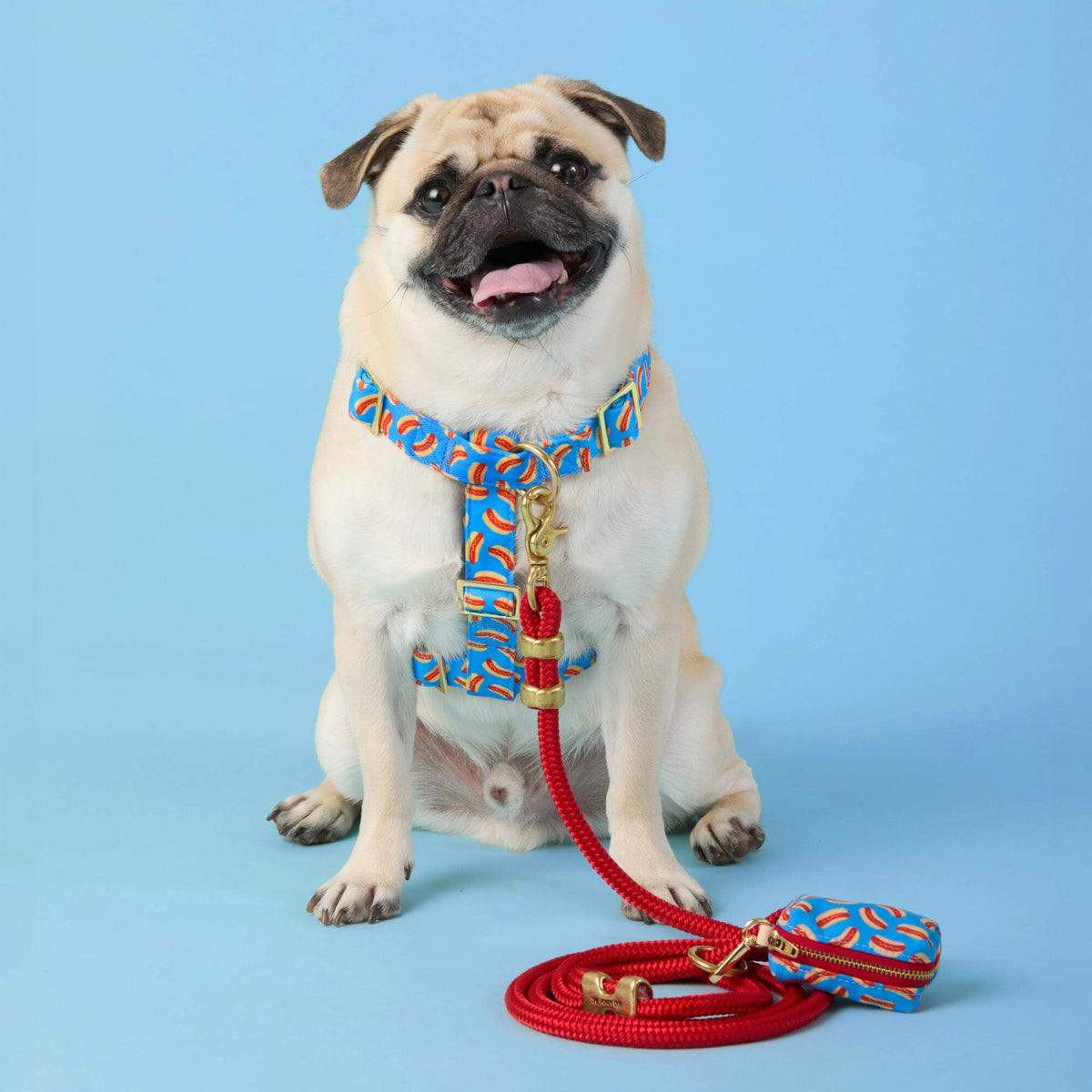 #Modeled by Greg (23lbs) in Medium