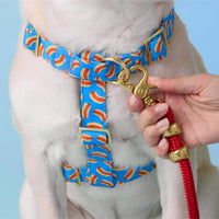 #Modeled by Greg (23lbs) in Medium