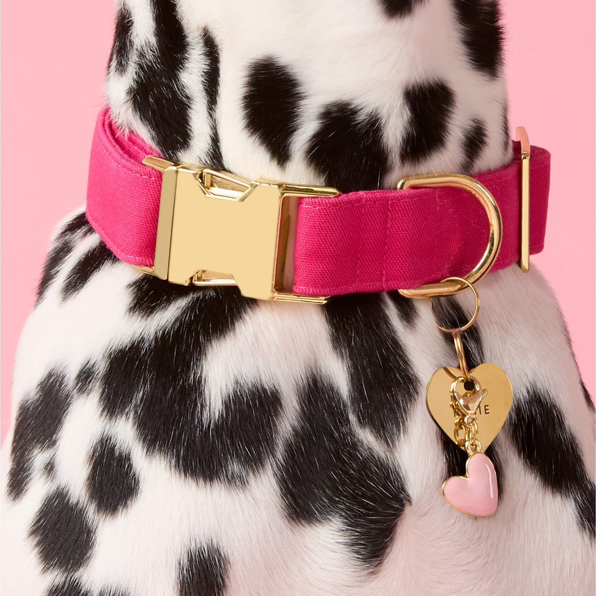 Pink Heart Collar Charm from The Foggy Dog