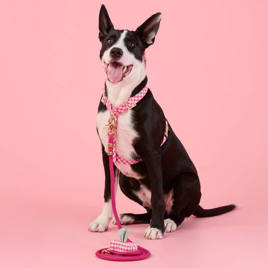 Hot Pink Gingham Harness Walk Set view 2