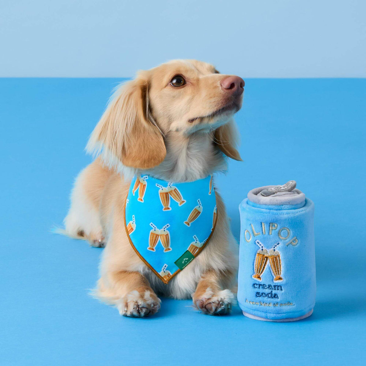 #Modeled by Finley (12lbs) in Small